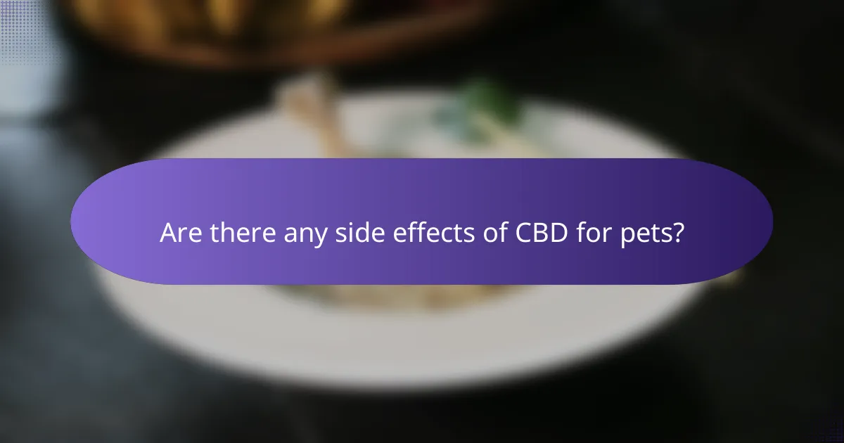 Are there any side effects of CBD for pets?