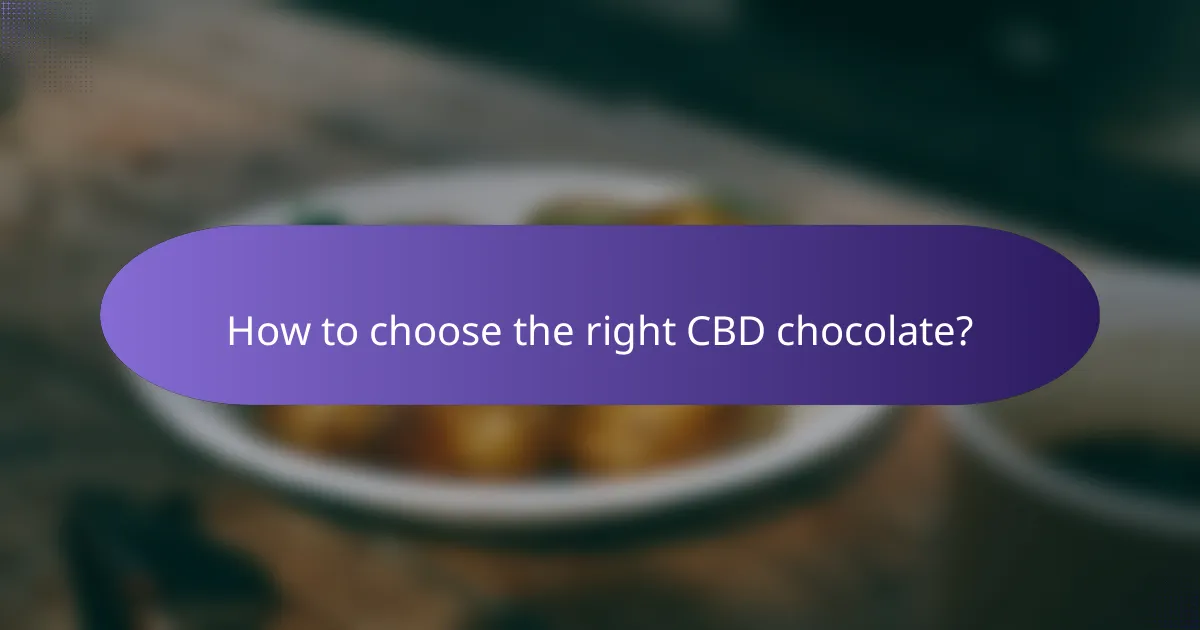 How to choose the right CBD chocolate?