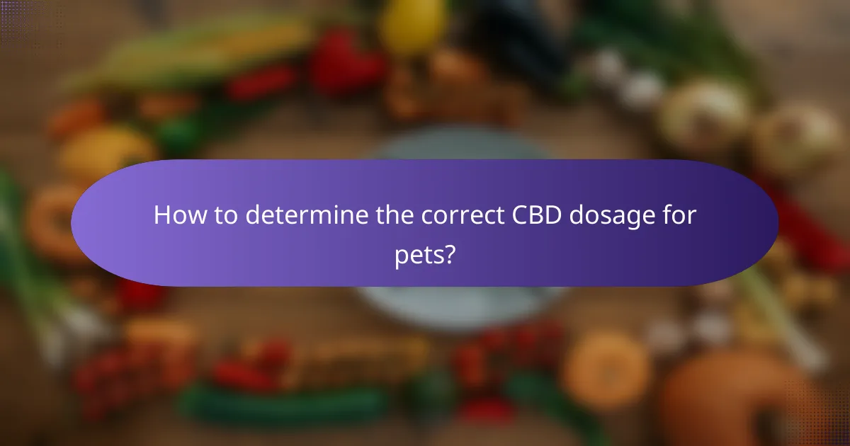 How to determine the correct CBD dosage for pets?
