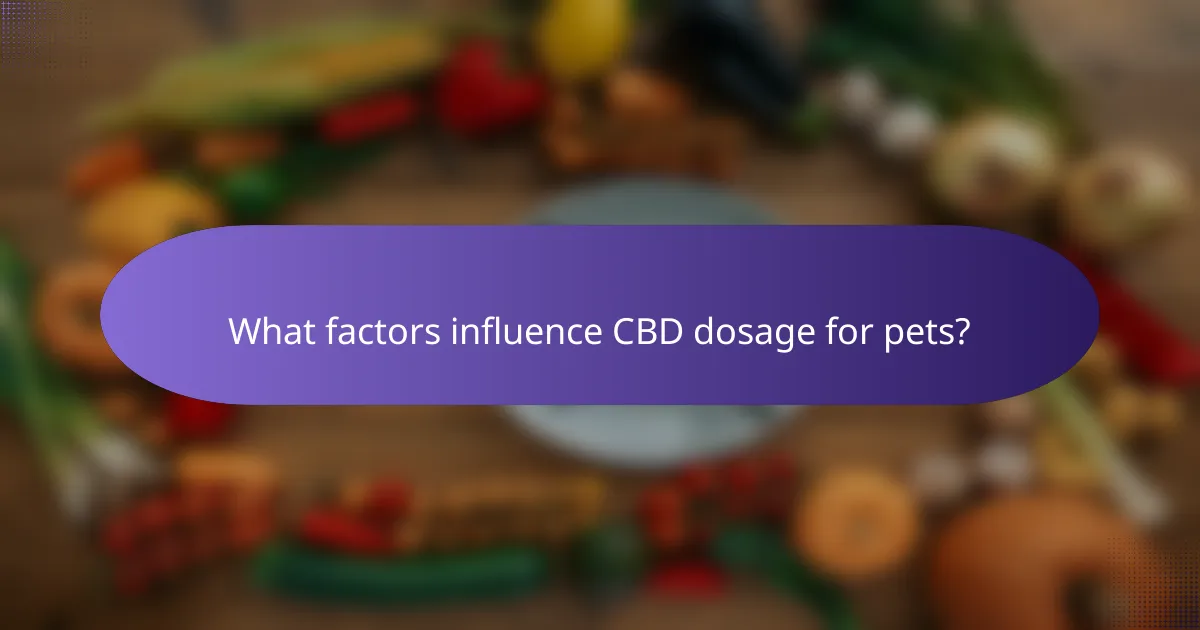 What factors influence CBD dosage for pets?