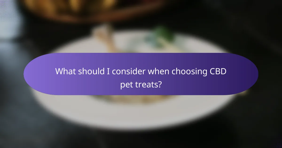 What should I consider when choosing CBD pet treats?